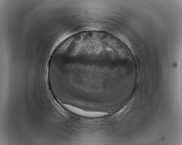 X0000097921179200804041517