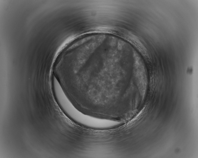 X0000097921180200804041517