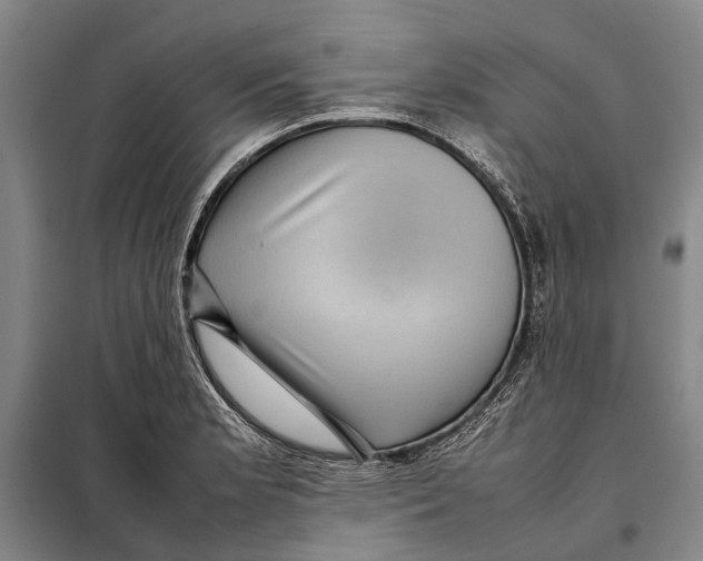 X0000097921181200804041517