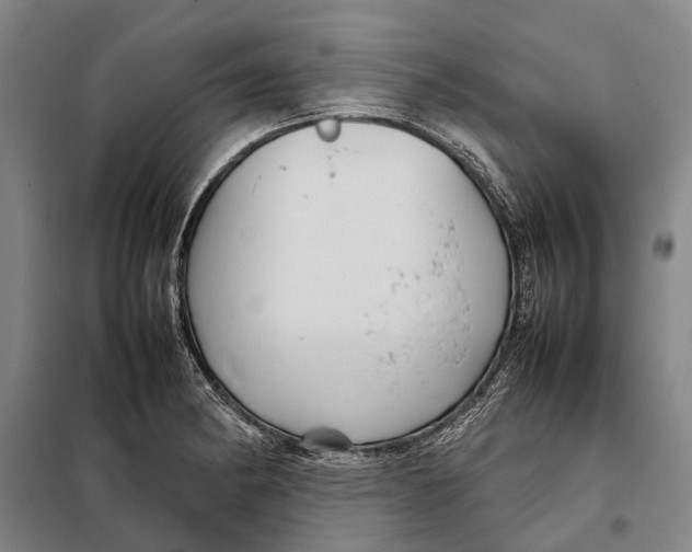 X0000097921182200804041517