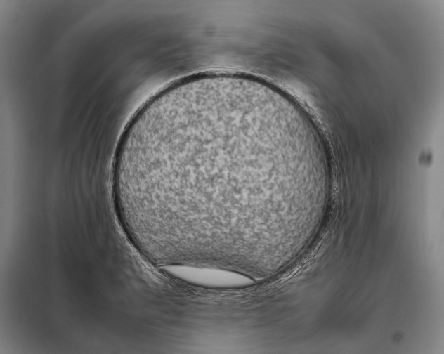 X0000097921183200804041517