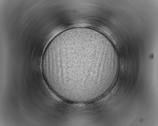 X0000097921186200804041517