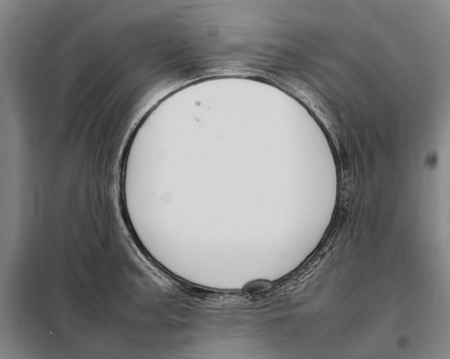 X0000097921187200804041517