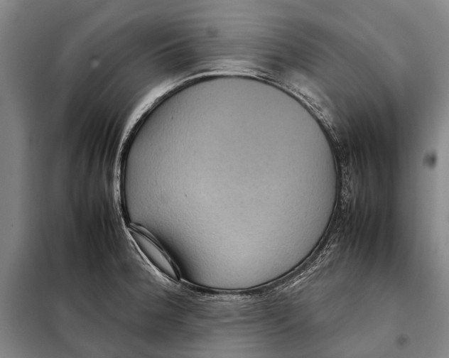 X0000097921188200804041517