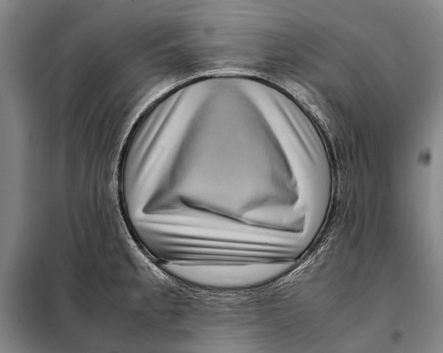 X0000097921189200804041517