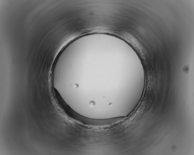 X0000097921190200804041517