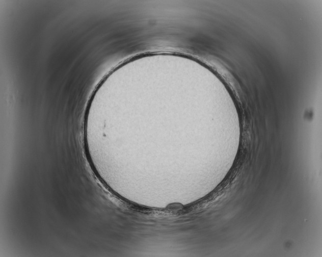 X0000097921191200804041517