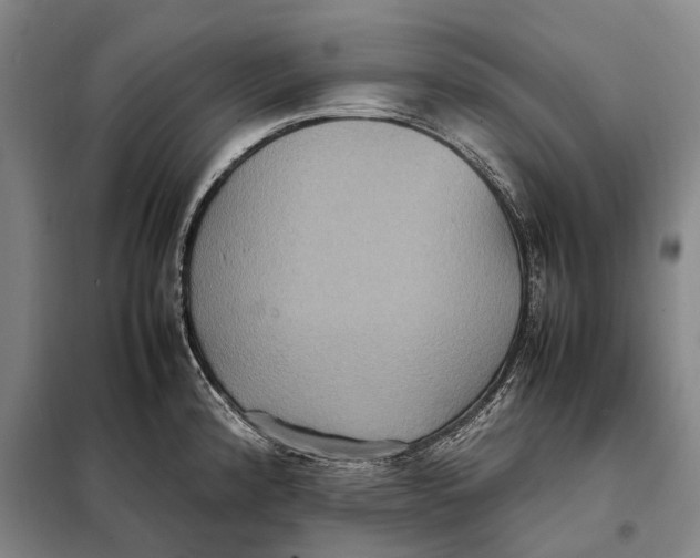 X0000097921192200804041517