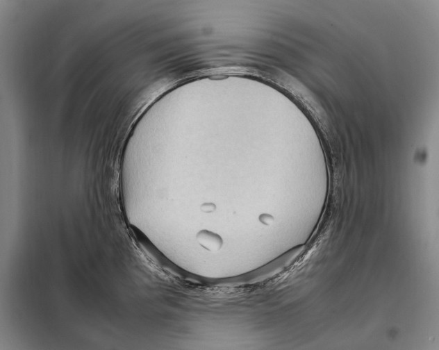 X0000097921193200804041517