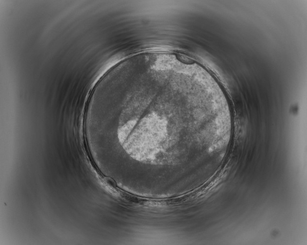 X0000097921194200804041517