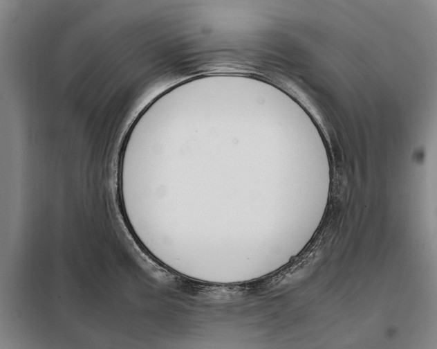 X0000097921195200804041517