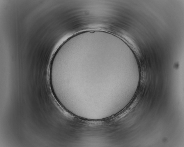 X0000097921196200804041517