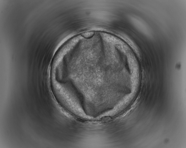 X0000097921198200804041517