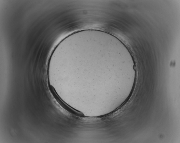 X0000097921200200804041517