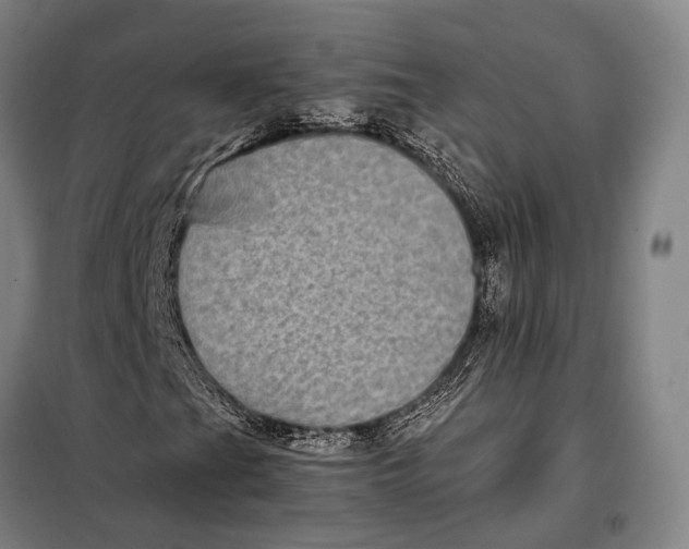 X0000097921201200804041516