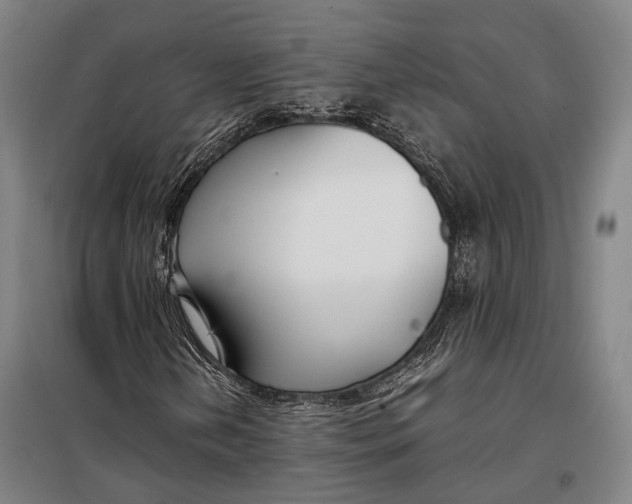 X0000097921202200804041516