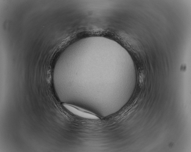 X0000097921204200804041516