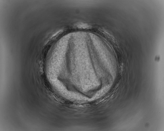 X0000097921205200804041516