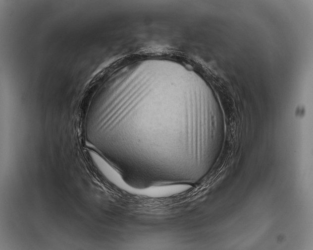 X0000097921206200804041516