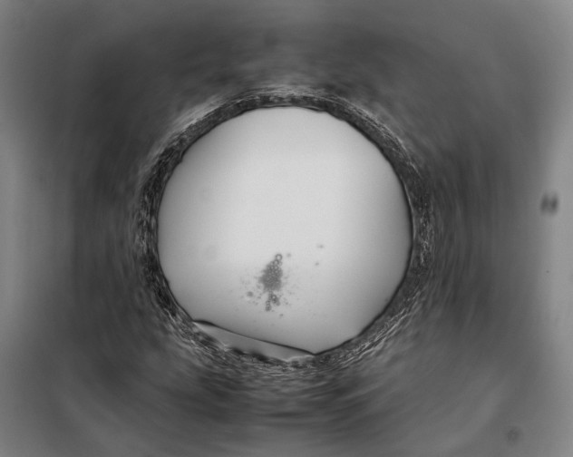 X0000097921207200804041516