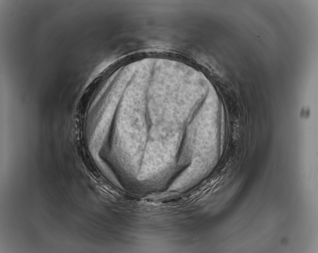 X0000097921208200804041516