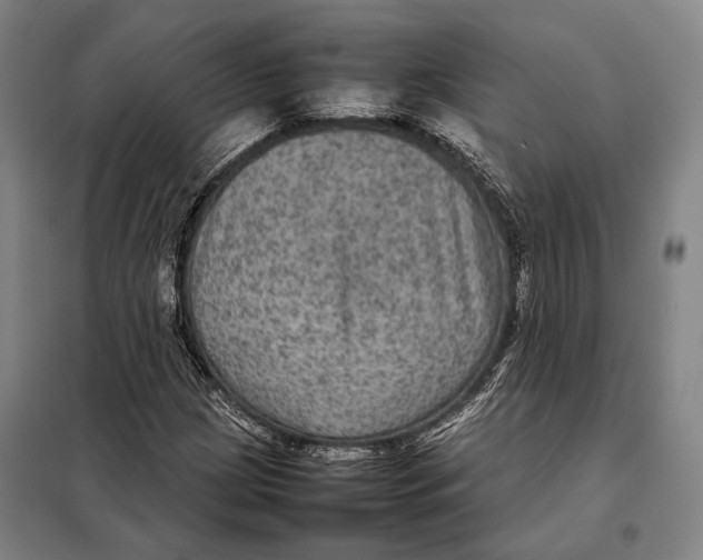 X0000097921209200804041516