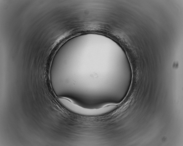 X0000097921210200804041516