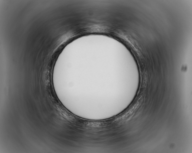 X0000097921211200804041516