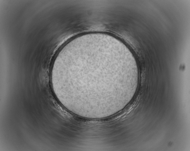 X0000097921212200804041516