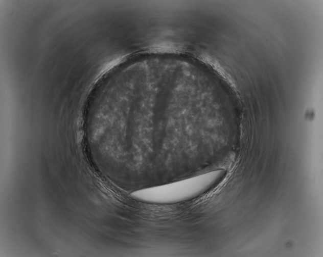 X0000097921213200804041516