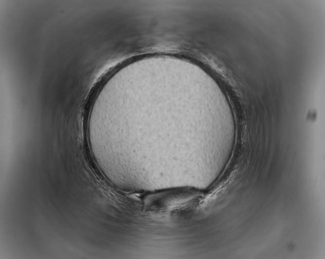 X0000097921214200804041516