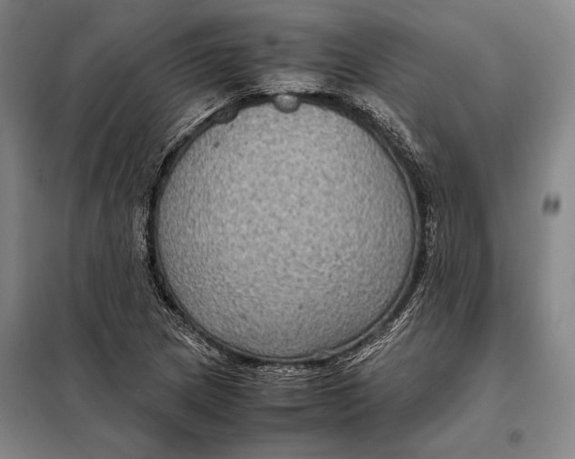 X0000097921217200804041516