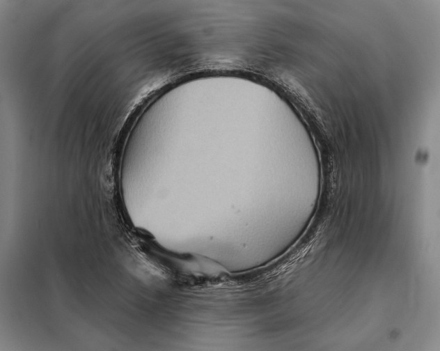 X0000097921218200804041516