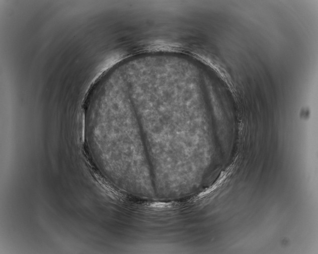 X0000097921219200804041516