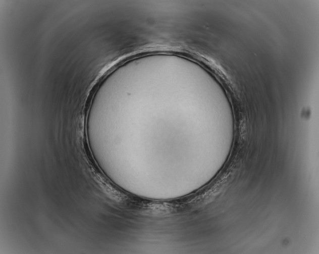 X0000097921220200804041516