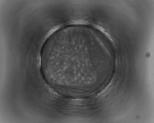 X0000097921221200804041516