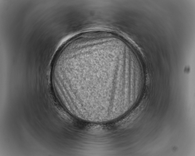 X0000097921222200804041516