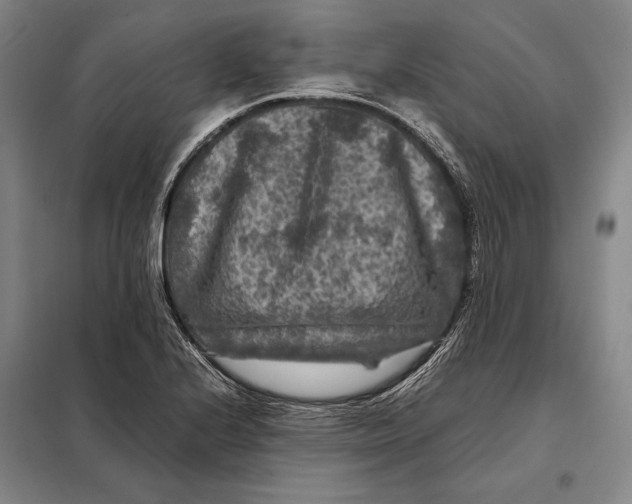 X0000097921224200804041516