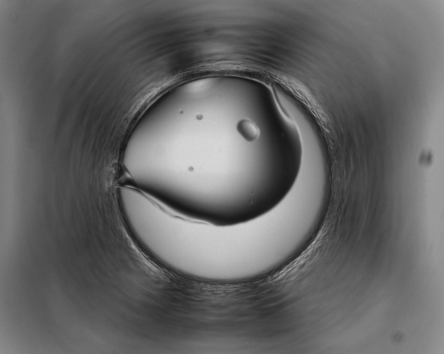 X0000097921225200804041516