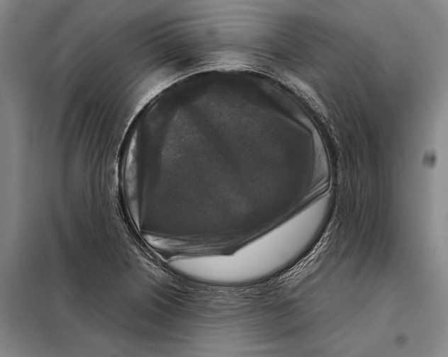 X0000097921226200804041516