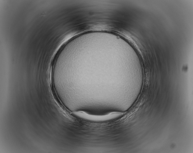 X0000097921227200804041516