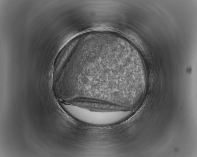 X0000097921228200804041516