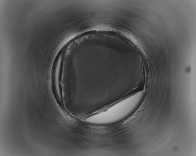 X0000097921229200804041516