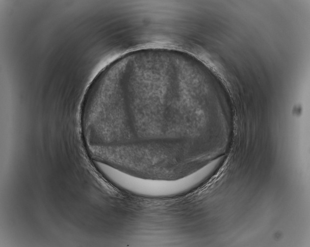 X0000097921230200804041516