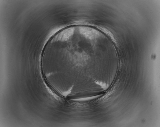 X0000097921231200804041516