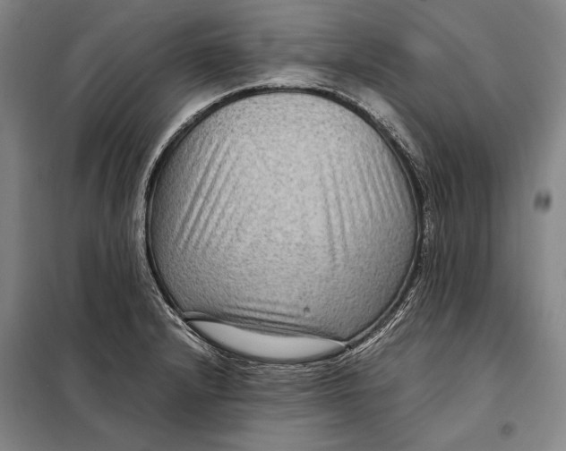 X0000097921232200804041516