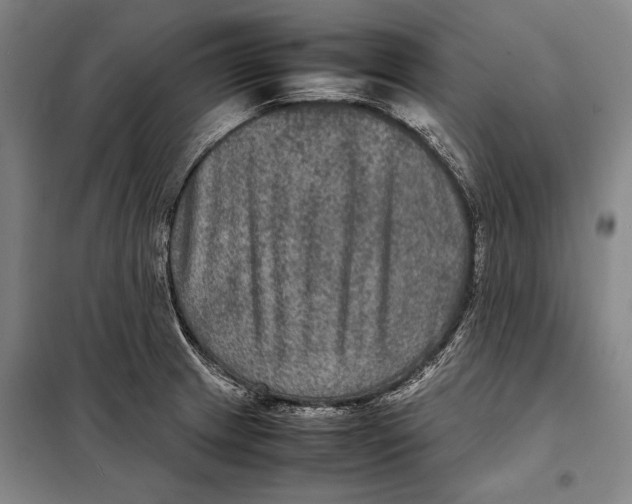 X0000097921233200804041516