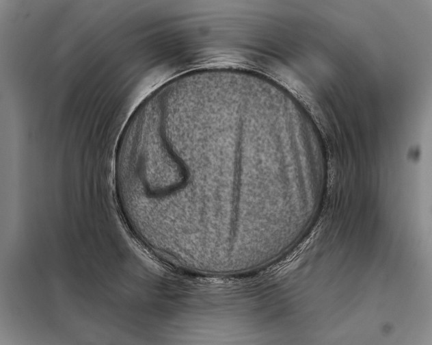 X0000097921234200804041516