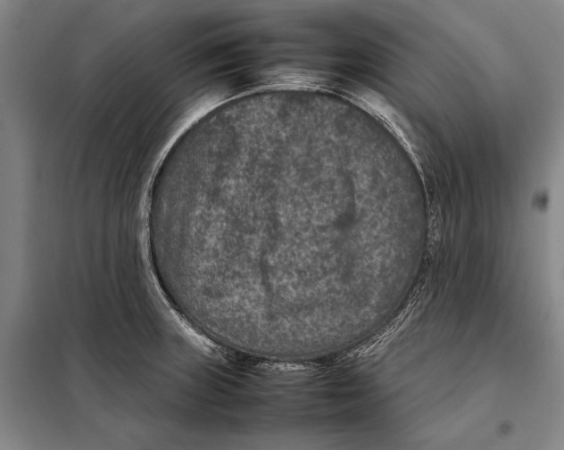 X0000097921235200804041516