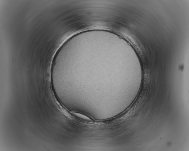 X0000097921236200804041516